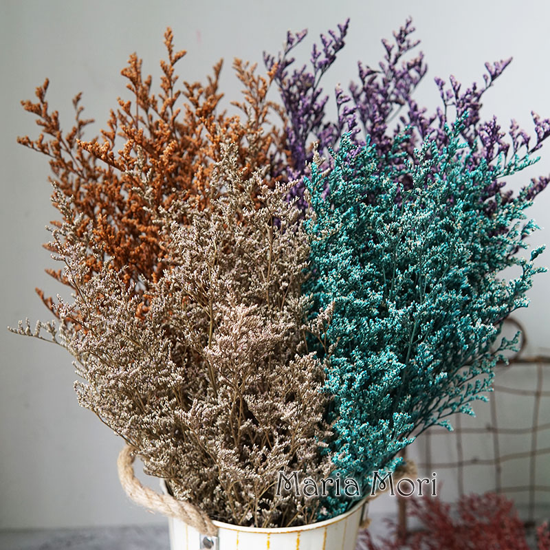 Eucalyptus Preserved - 70g/Konserviertes Valentinstagsgras Limonium-Blume Liebesgras für Floristen-Zubehör