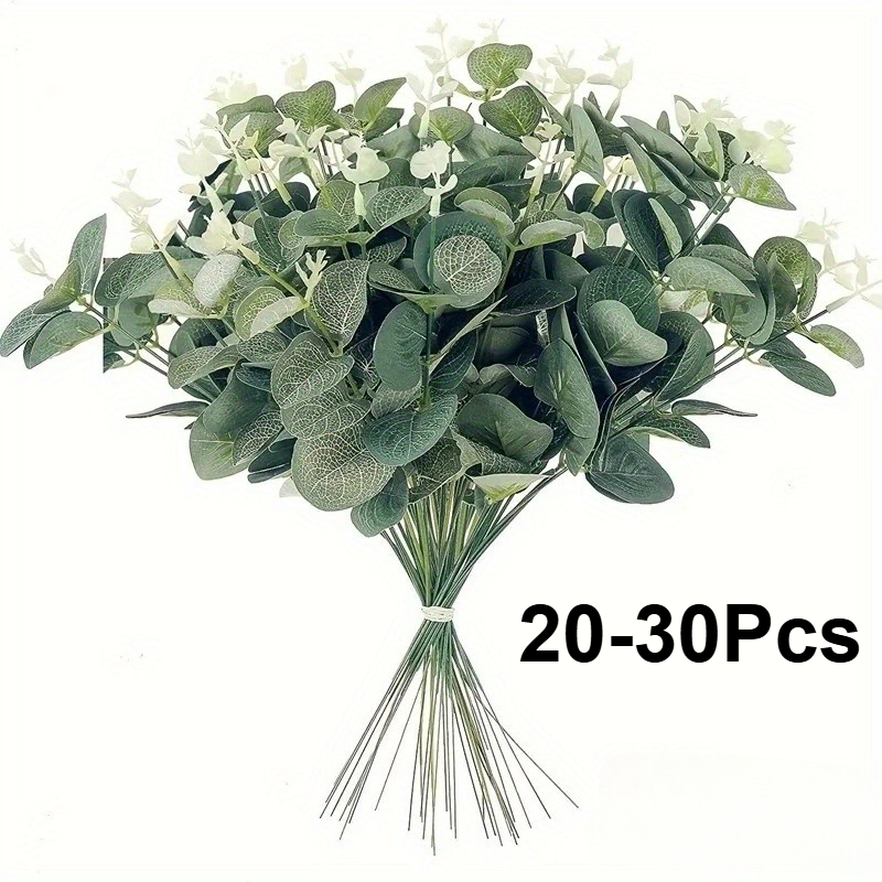 20 oder 30 Stück Eukalyptusbla – Eucalyptus Preserved Bewertung und Preis