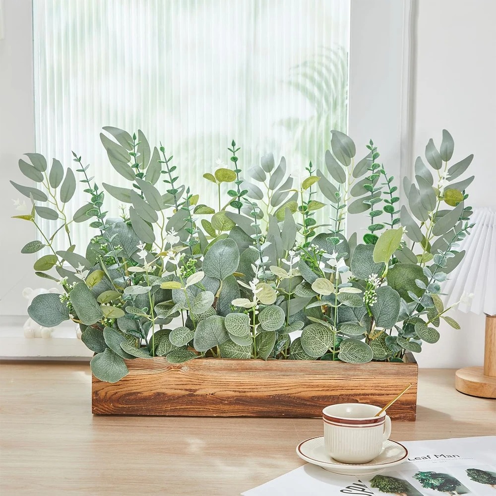 20 Stück Eukalyptusblätter, St – Eucalyptus Preserved Bewertung und Preis