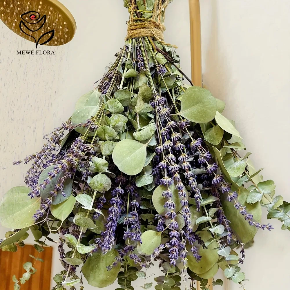 30 Stück getrocknete Blumen, k – Eucalyptus Preserved Bewertung und Preis