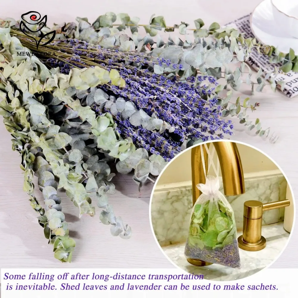 30 Stück getrocknete Blumen, k – Eucalyptus Preserved Bewertung und Preis