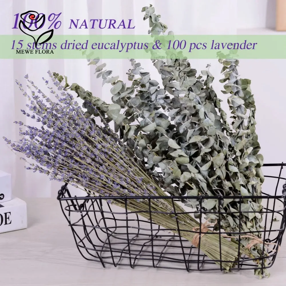 30 Stück getrocknete Blumen, k – Eucalyptus Preserved Bewertung und Preis