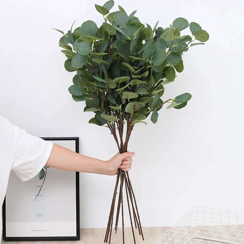 1 Stück Künstlicher Eukalyptus – Eucalyptus Preserved Bewertung und Preis