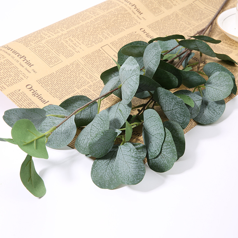 1 Stück Künstlicher Eukalyptus – Eucalyptus Preserved Bewertung und Preis